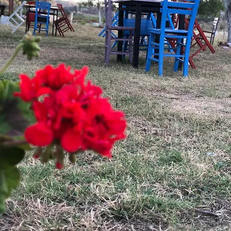 Liman Cafe אתר קמפינג *