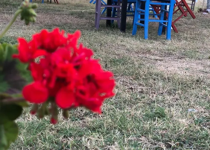 Liman Cafe Campingplatz *